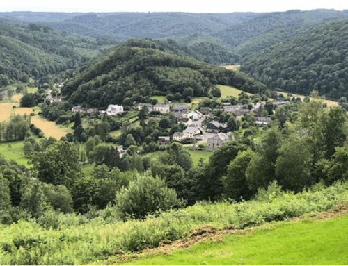 Session de l’École des plantes à Corbion (Ardennes belges), juin 2024.